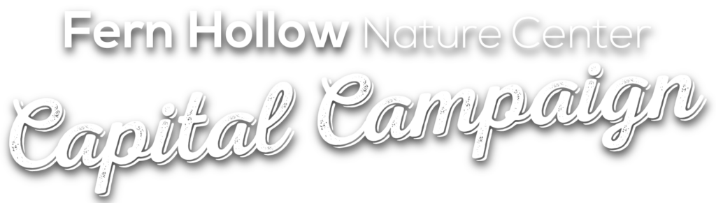 Capital Campaign