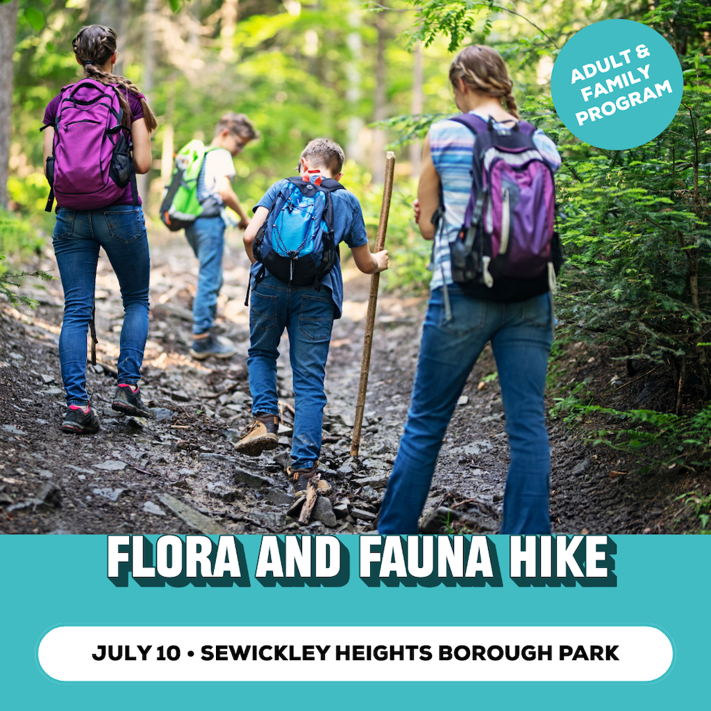 Flora and Fauna Hike Promo Image