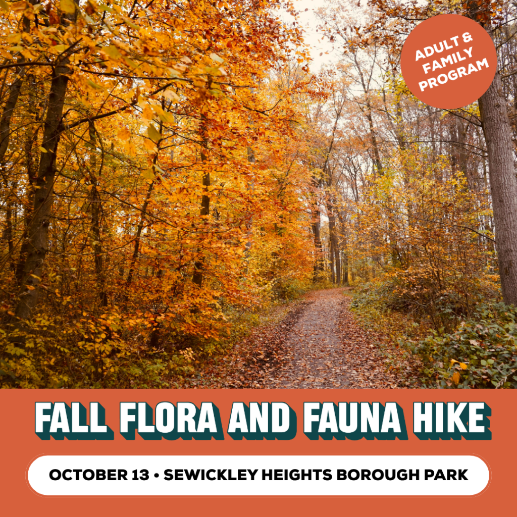 Fall Flora and Fauna Hike Promo