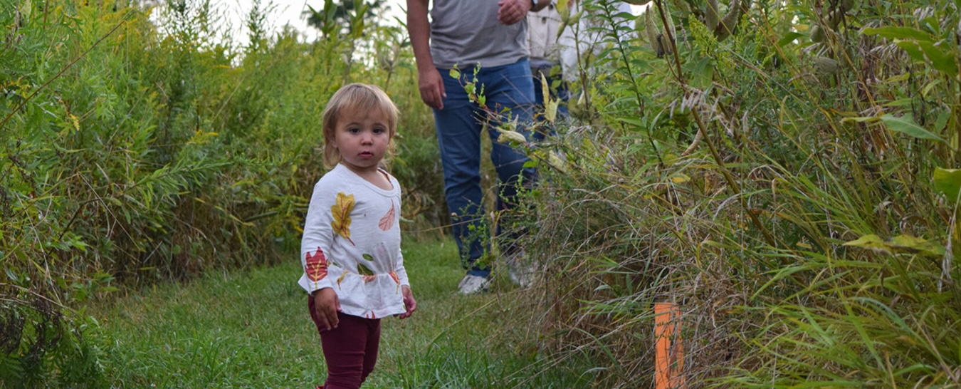 Toddler girl wearing a white leaf-print top and burgundy pants stands on a grassy path between tall green plants, with adults in the background.