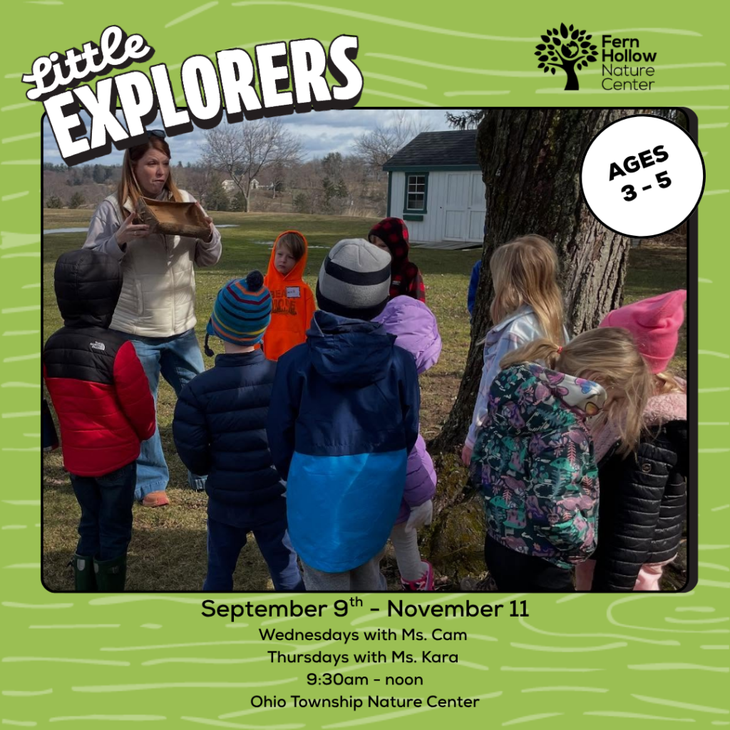 Little Explorers Fall 2026