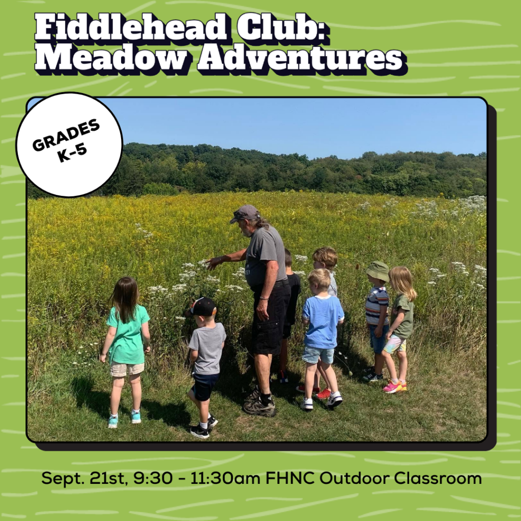 Fiddlehead Club 9-21 promo image