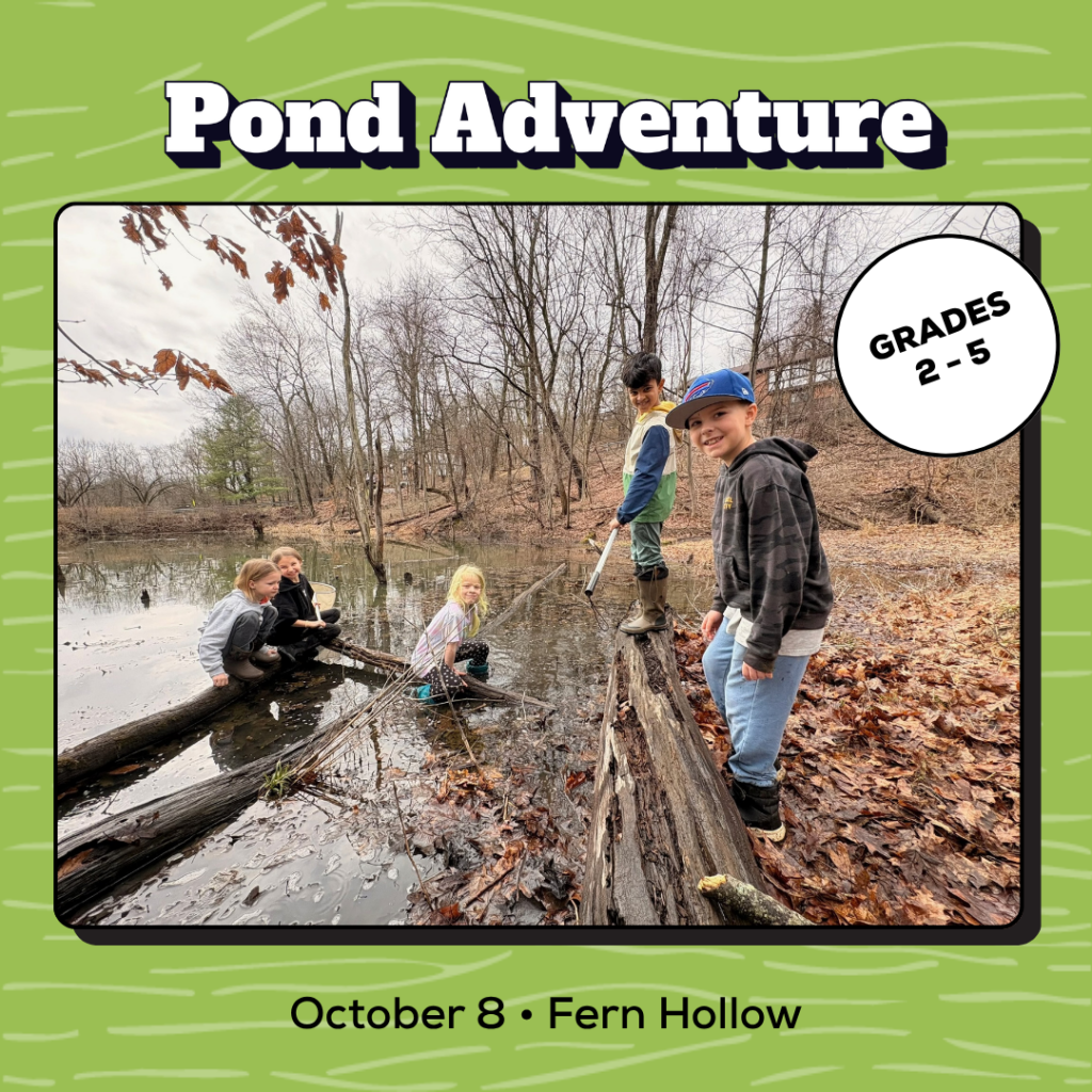 Pond Adventure promo image