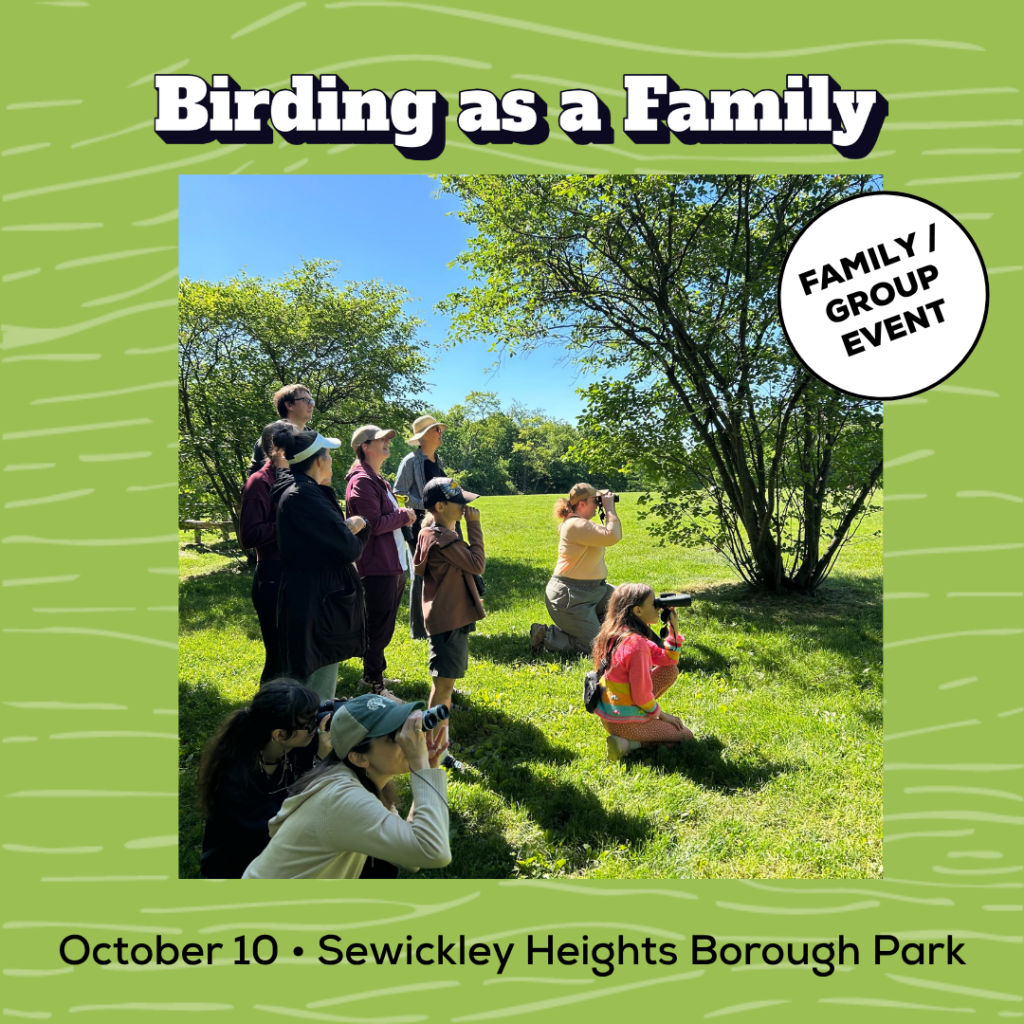 Birding as a Family promo image