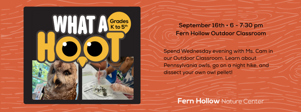 What a Hoot promo image