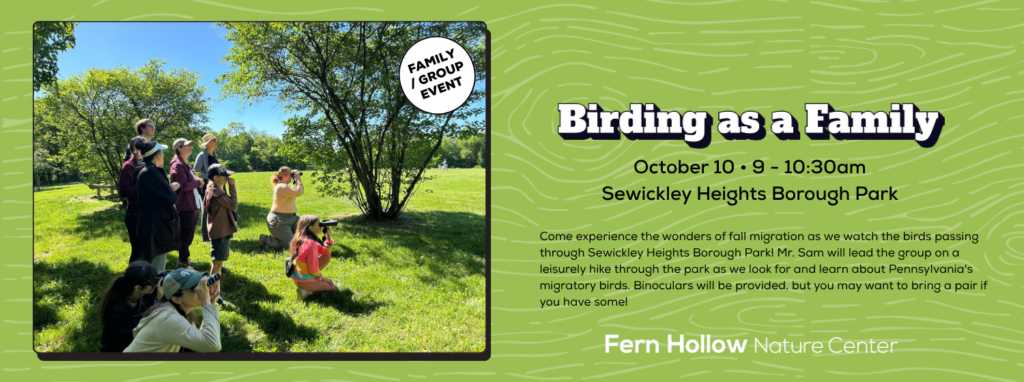 Birding as a Family slider image